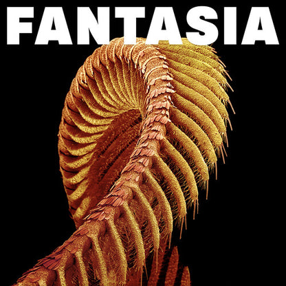 Fantasia [2LP Yellow Colored Vinyl]