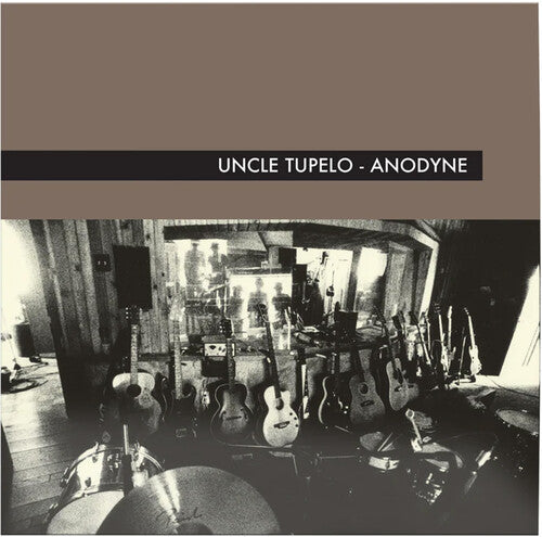 Anodyne [LP LP size booklet]