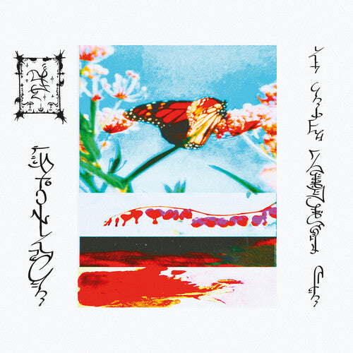 Lact'eben [LP]
