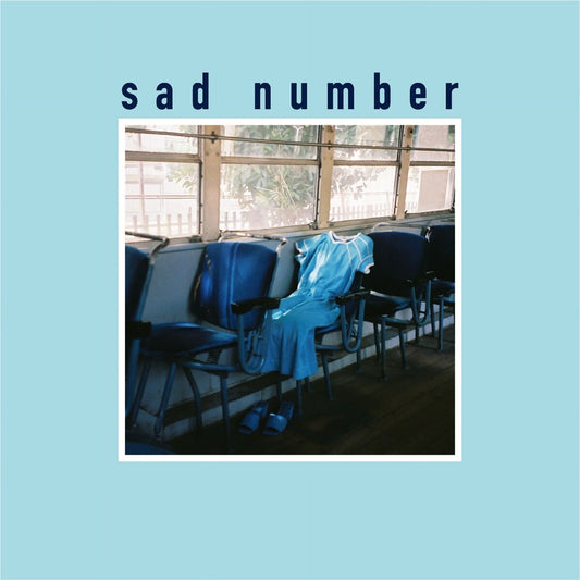 Sad Number / Laundry [7"]