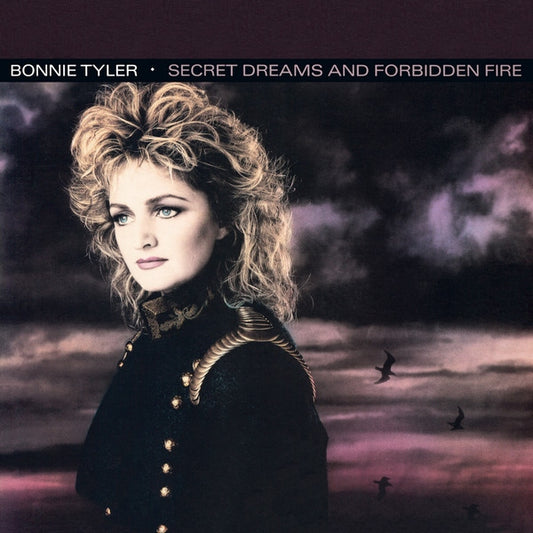 Secret Dreams And Forbidden Fire [LP]