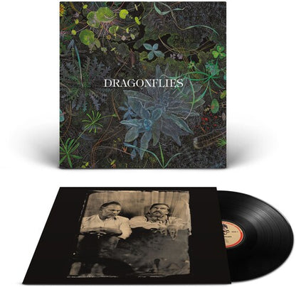 Dragonflies – Dragonflies cover artwork