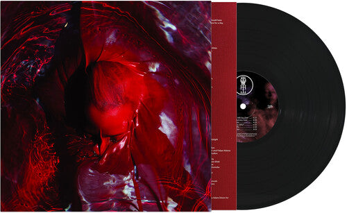 Not Here Not Gone [LP]