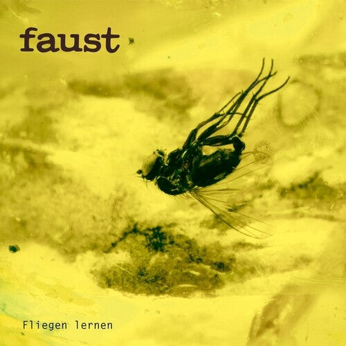 Fliegen lernen [LP]