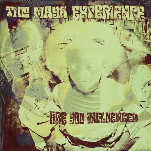 Are You Influenced [LP]