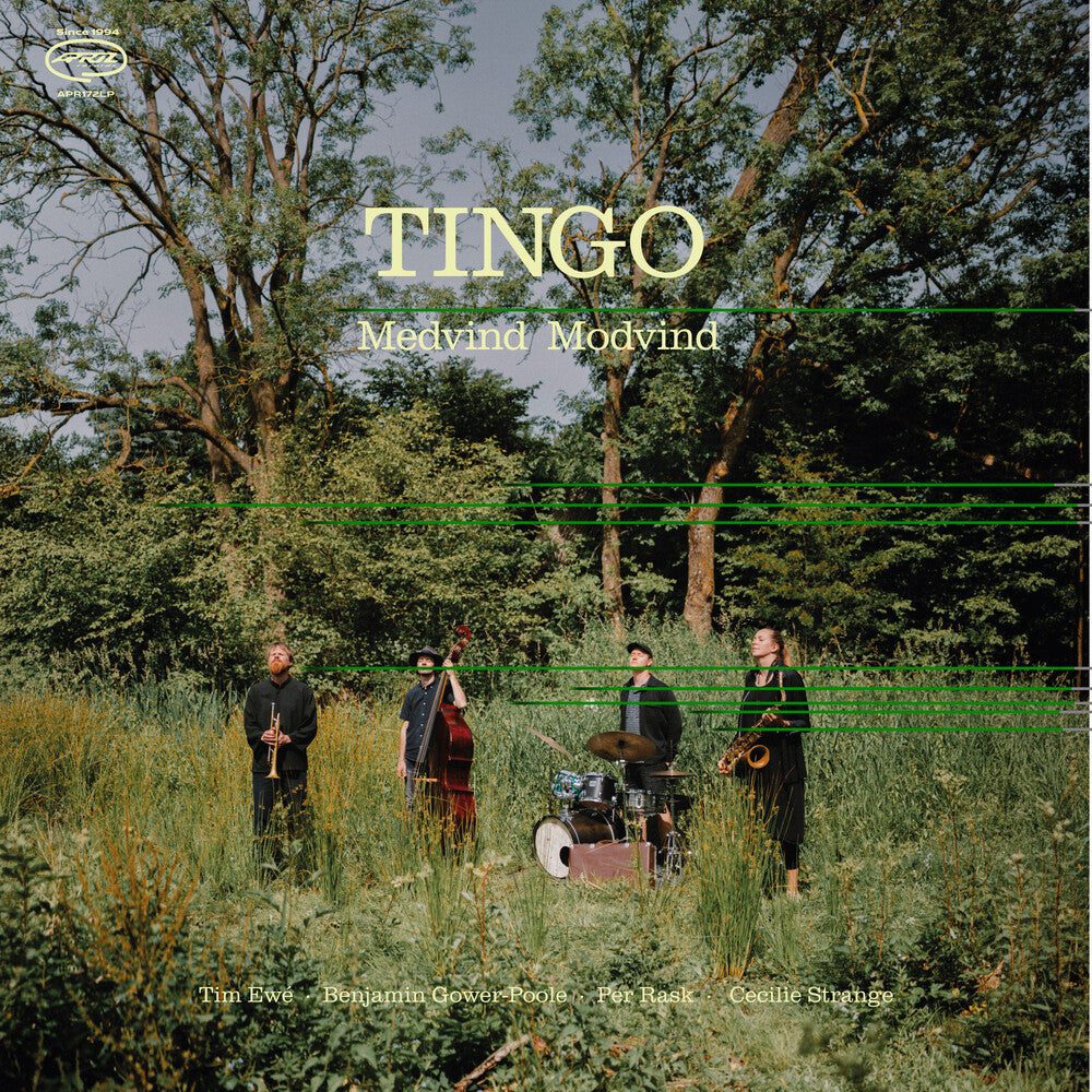 Tingo - Medvind Modvind [LP]