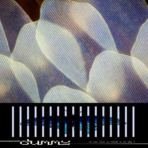Album cover for Dummy - Do You Love The Color Of The Sky on Cassette