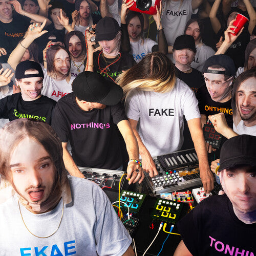Nothing's Fake [LP]