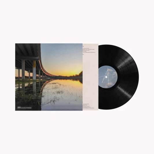 Jamie T - Ghosts (100 Days of Morning) [Black Vinyl LP]