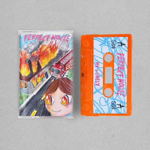 Perfect House [Cassette]