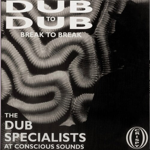 Dub To Dub Break To Break [LP]