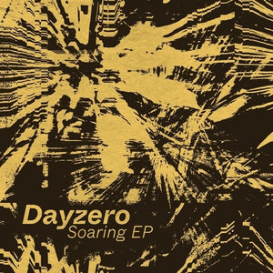 Dayzero - Soaring [12"] cover art