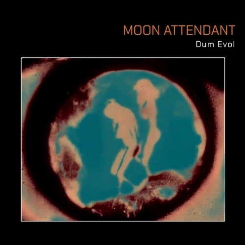 Dum Evol [Pink Vinyl]
