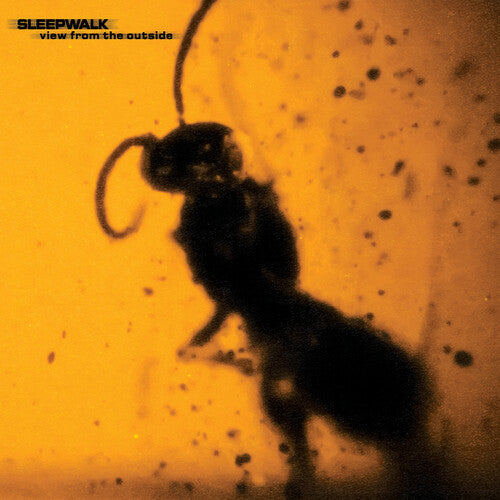View From The Outside [LP]