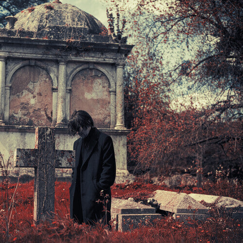 Requiem For A Village [LP]