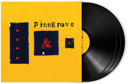 Pinegrove - Everything So Far (11th Anniversary Edition) [Black Vinyl]