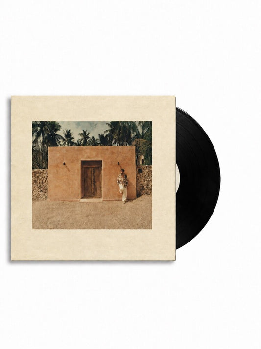 Ady Suleiman - Chasing [LP]