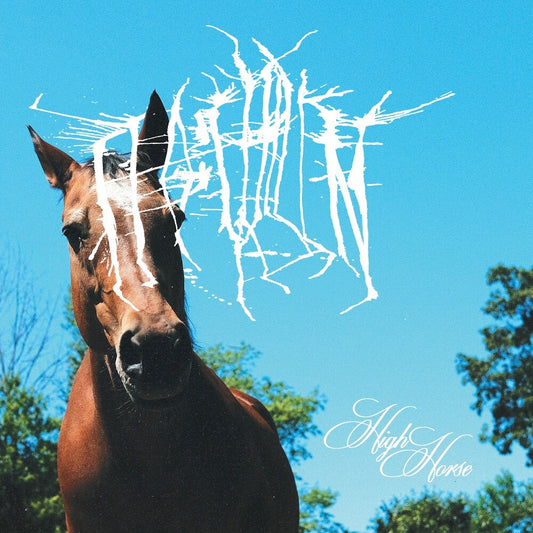 FFO: Chillin - High Horse [Sky Blue Vinyl LP]