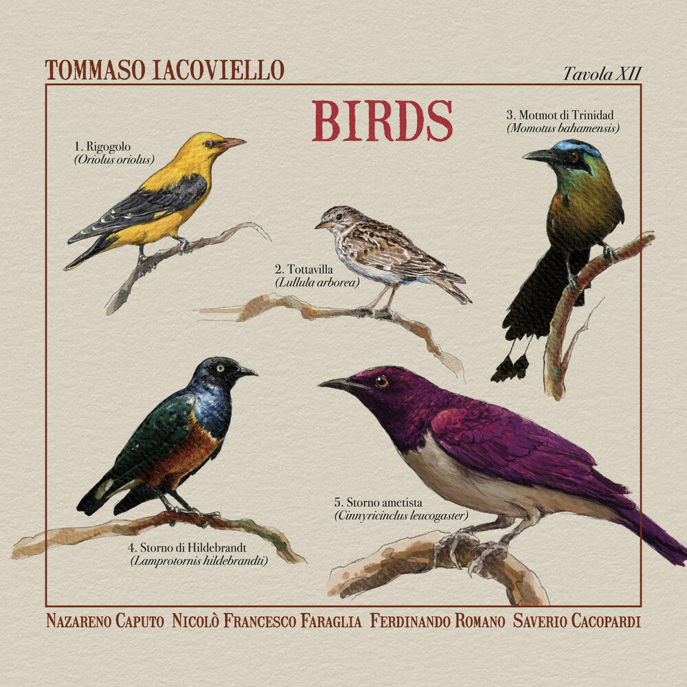 Tommaso Iacoviello - Birds [CD]