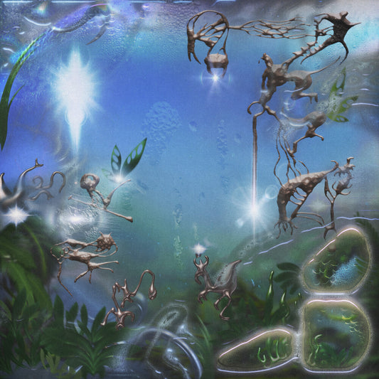 Pairi Daeza - Phosphene Island [LP]