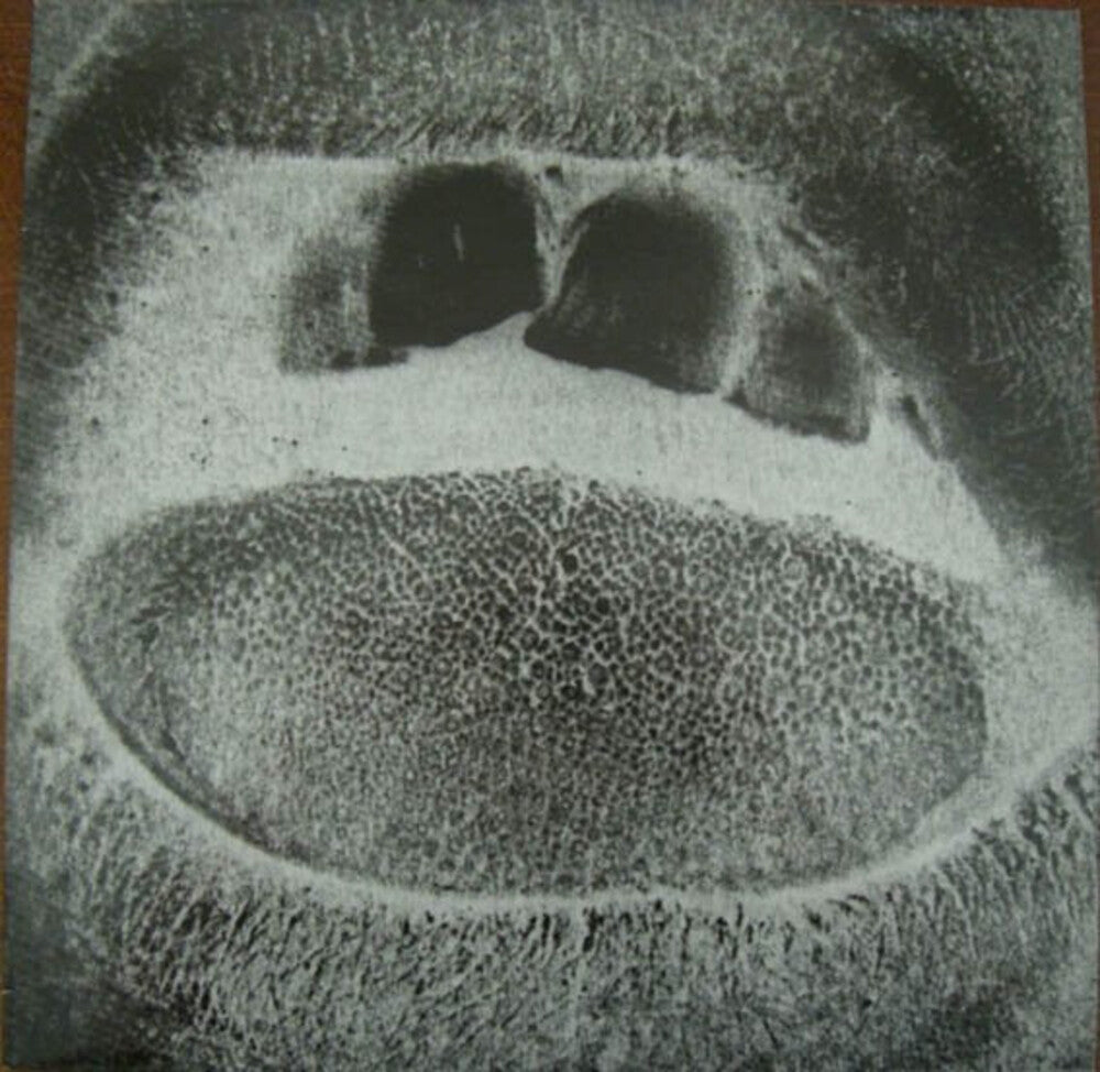 Skullflower – Form Destroyer [Silver 2LP] cover artwork