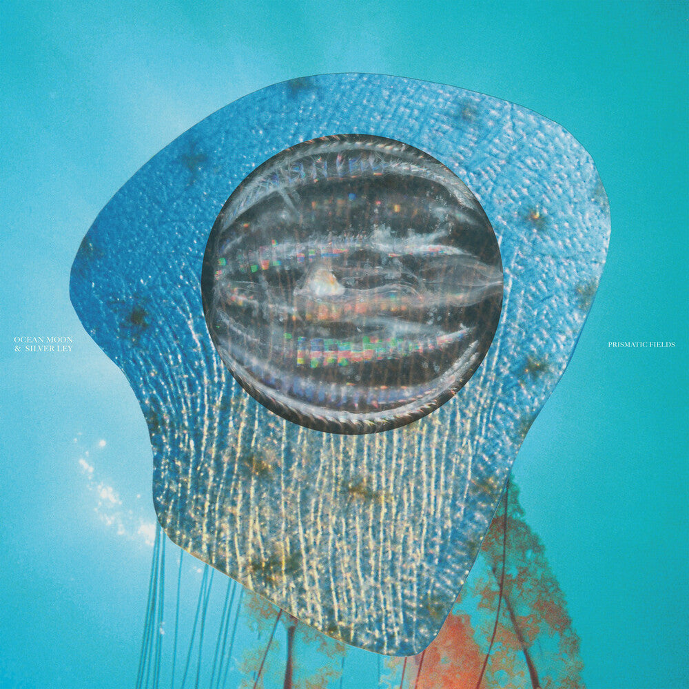Ocean Moon & Silver Ley – Prismatic Fields [LP] cover artwork