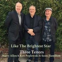 Like The Brightest Star [2LP] (import)