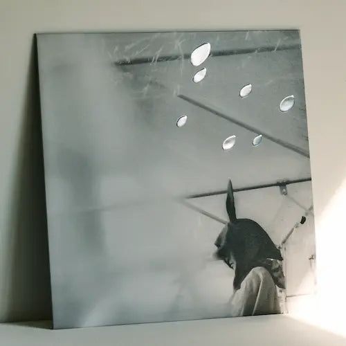 Hibiya Yaon No Ozawa Kenji (Official Kaizokuban) [LP] (Japanese Import)