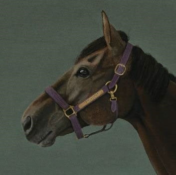 Brain Candy [CD] (Japanese import)