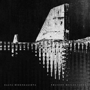 Polygon Reflections [LP]