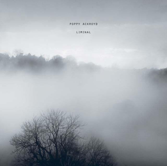 Liminal [LP]