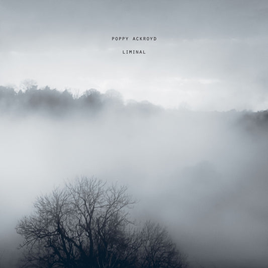Liminal [LP]