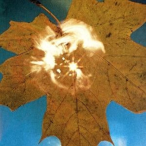 Force Of The Wind [LP]