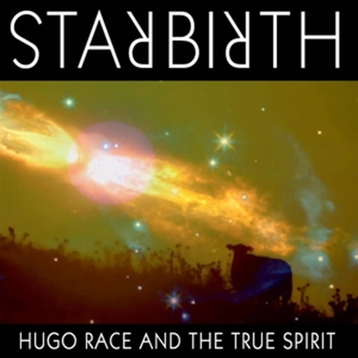 Starbirth [LP]