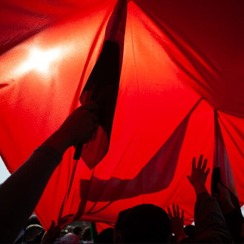 Raise A Symphony [2LP]