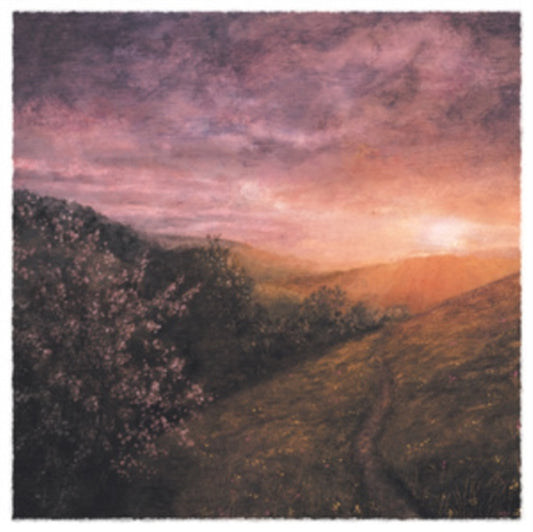 Sam Sweeney, Grace Smith - Morning Of May [LP]