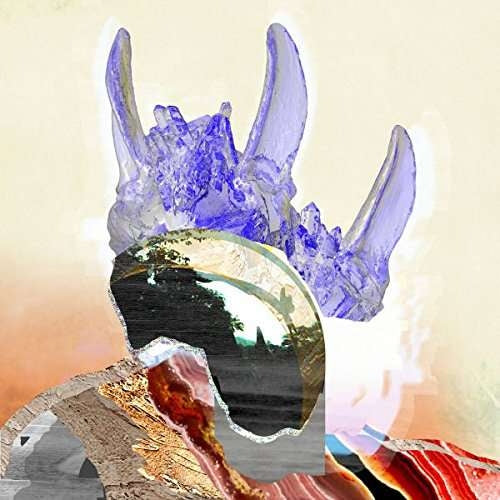 Wanderflower / Ezra's Garden [LP]