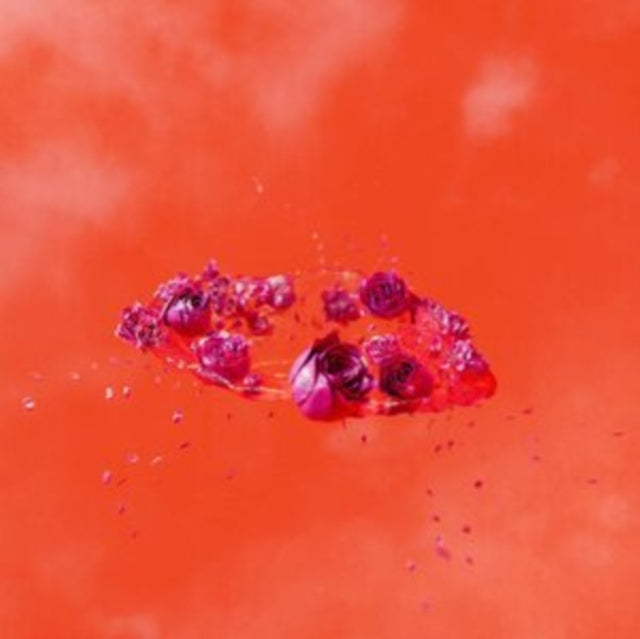 Ami Dang - Living World's Demands [LP]