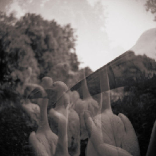IAN – Come On Everybody, Let's Do Nothing! [LP] product image 2