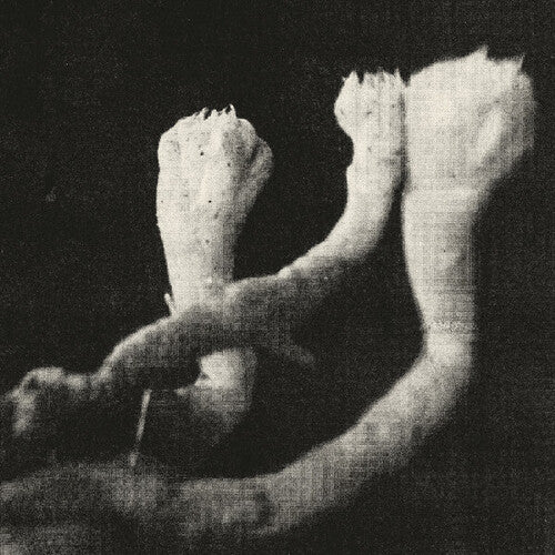 Unterhaltungen Mit Larven Und Uberresten [LP+7"]