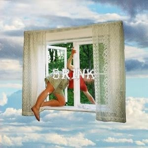 Girl Scout — Brink — cover artwork