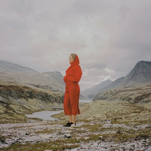 Evergreen In Your Mind [LP]