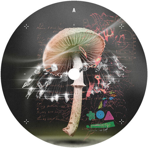 Move 2 The Groove [12"]