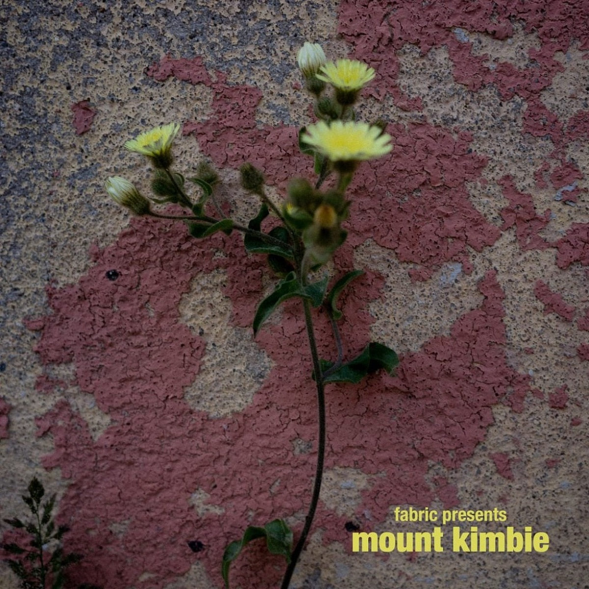Fabric Presents Mount Kimbie [2LP]