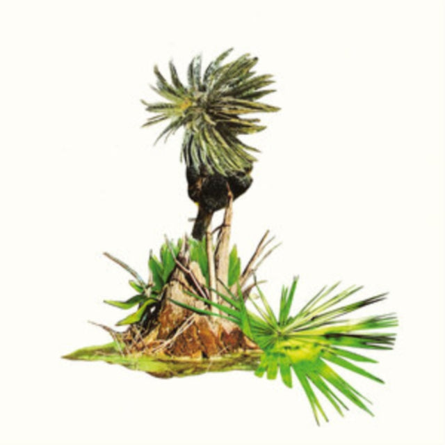 Musica Para Platanos [LP]