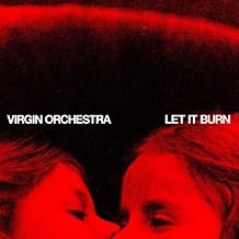 Let It Burn [LP] (import)