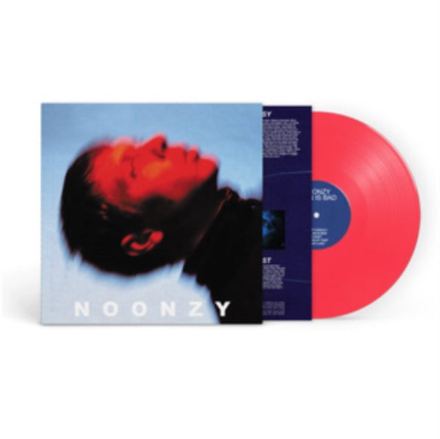 Album cover for Noonzy - Plan Is Bad [LP Import]