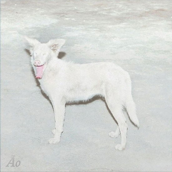 Malandra [LP] (Import)