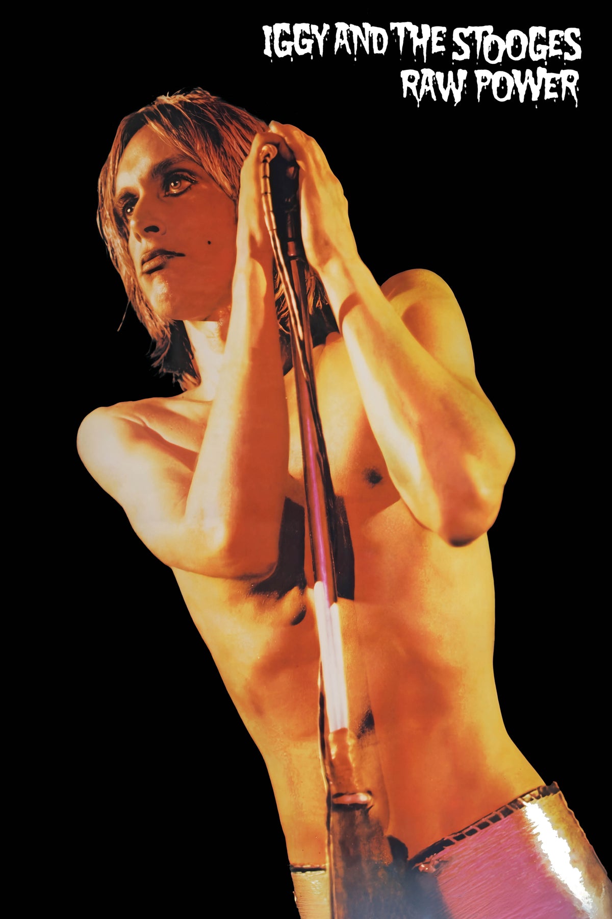 Iggy And The Stooges Raw Power poster