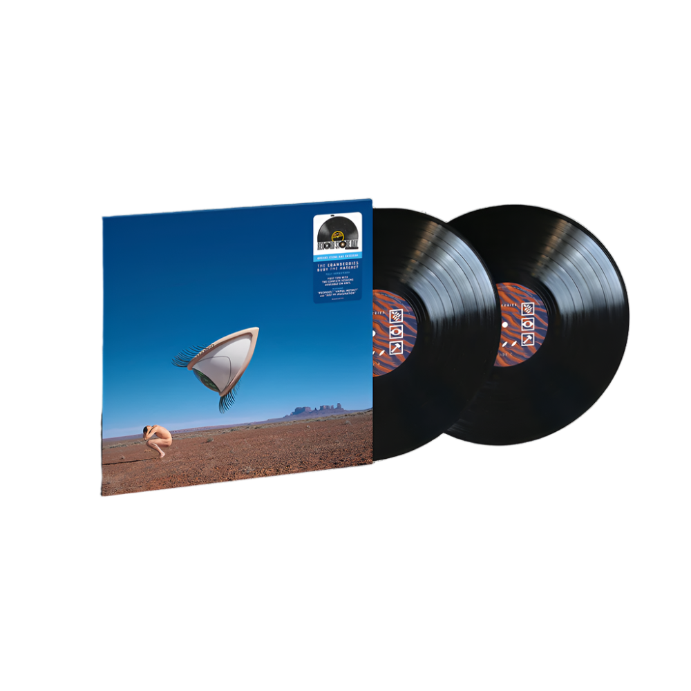 The Cranberries - Bury the Hatchet (The Complete Sessions) [2LP Vinyl] — artwork